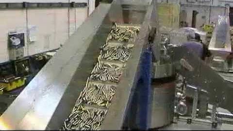 [Centrifugal Feeder] Battery Cans - RNA Automation Ltd