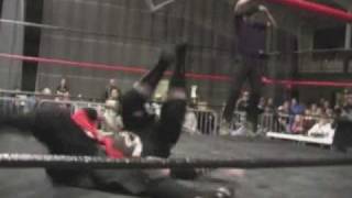 Theory Of Evolution - Hybrid Wrestling