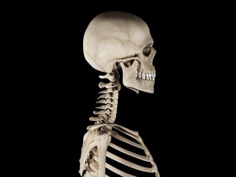 藤井翔悟の「恥ずかしくて他人に言えない話」 腰痛 ストレッチ Shogo Fujii's "Embarrassing stories that can not be said to others"