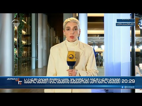 საპარლამენტო დელეგაციის შეხვედრები ევროპარლამენტში