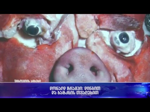 დონალდ ტრამპი: დინგით და ბატკნის თვალებით