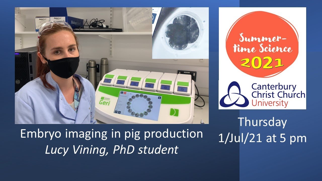 Embryo imaging in pig production