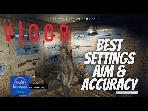 Vigor Best Settings 2022, how to avoid aiming mistakes