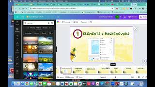 Elements and Backgrounds