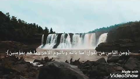 حالات واتس اب//تلاوة هادئة تريح الأعصاب☘☘