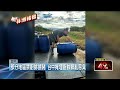 非洲豬瘟擴散