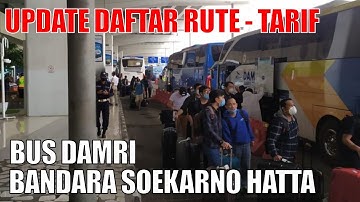Daftar Terbaru Rute dan Tarif Bus Damri Bandara Soekarno Hatta ke Kota Lainnya