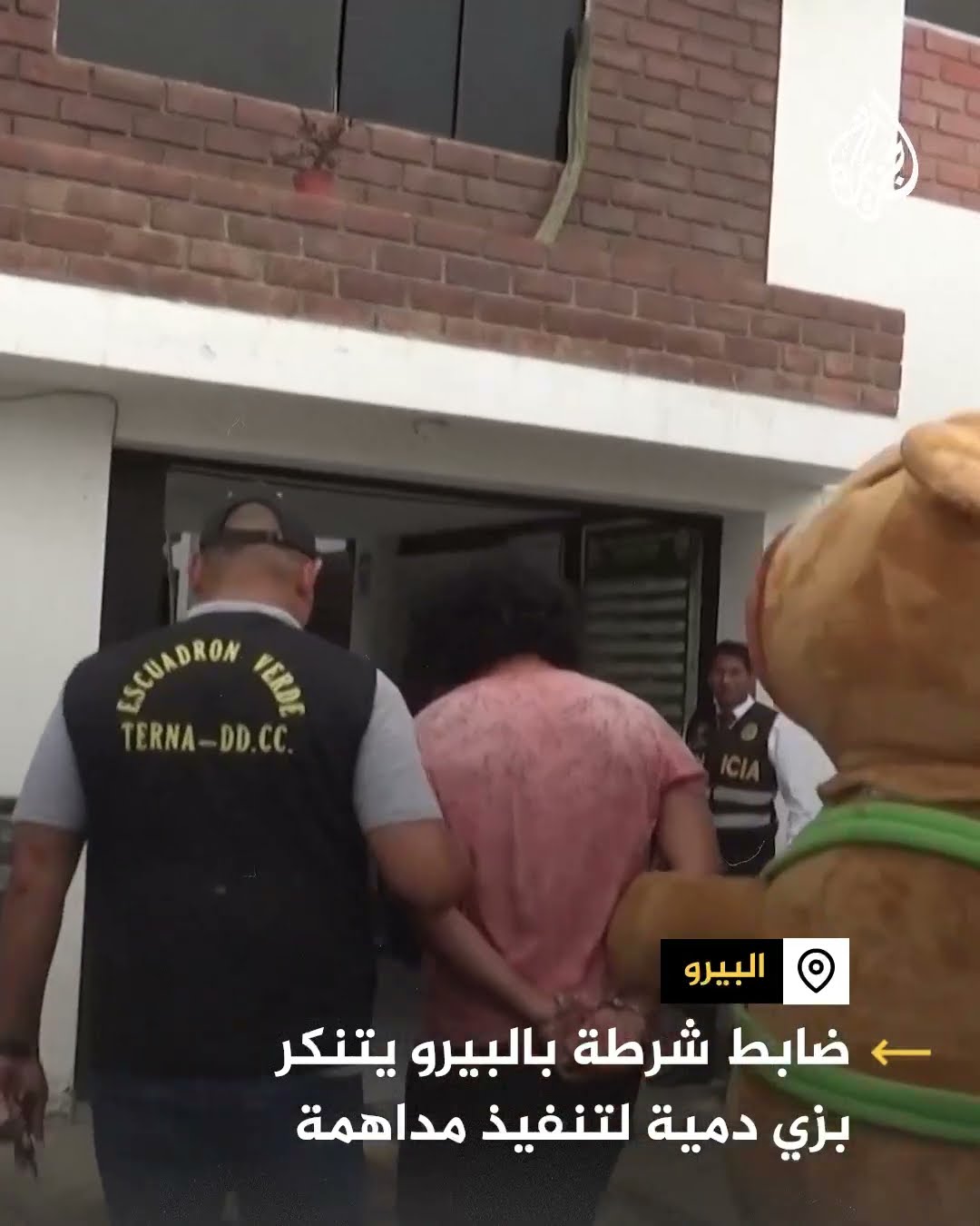 ضابط شرطة بالبيرو يتنكر بزي دمية لتنفيذ مداهمة ضبط مخدرات