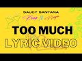 Miniature de la vidéo de la chanson Too Much