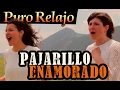 'Pajarillo Enamorado' de Puro Relajo - videoclip oficial de Pajarillo Enamorado
