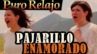 'Pajarillo Enamorado' de Puro Relajo - videoclip oficial de Pajarillo Enamorado chords