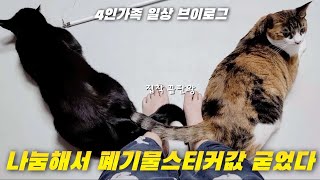 쓸만한건 버리지말고 나눔 / 이사가기 전엔 사고치지말자 / 냉파여도 볶음밥만 먹으면 지겹지 않나 / 현금생활 절약 가계부 / 미니멀라이프 브이로그