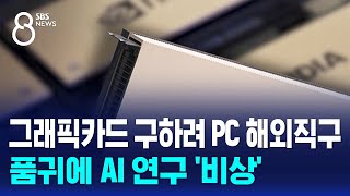 그래픽카드 구하려 PC 해외직구…품귀에 AI 연구 '비상' / SBS 8뉴스
