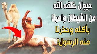 حيوان خلقه الله ﷻ من الشيطان وأجاز لنا أكله وحذرنا منه الرسول ﷺ.. فما هو؟ لن تصدق السبب سبحان الله!