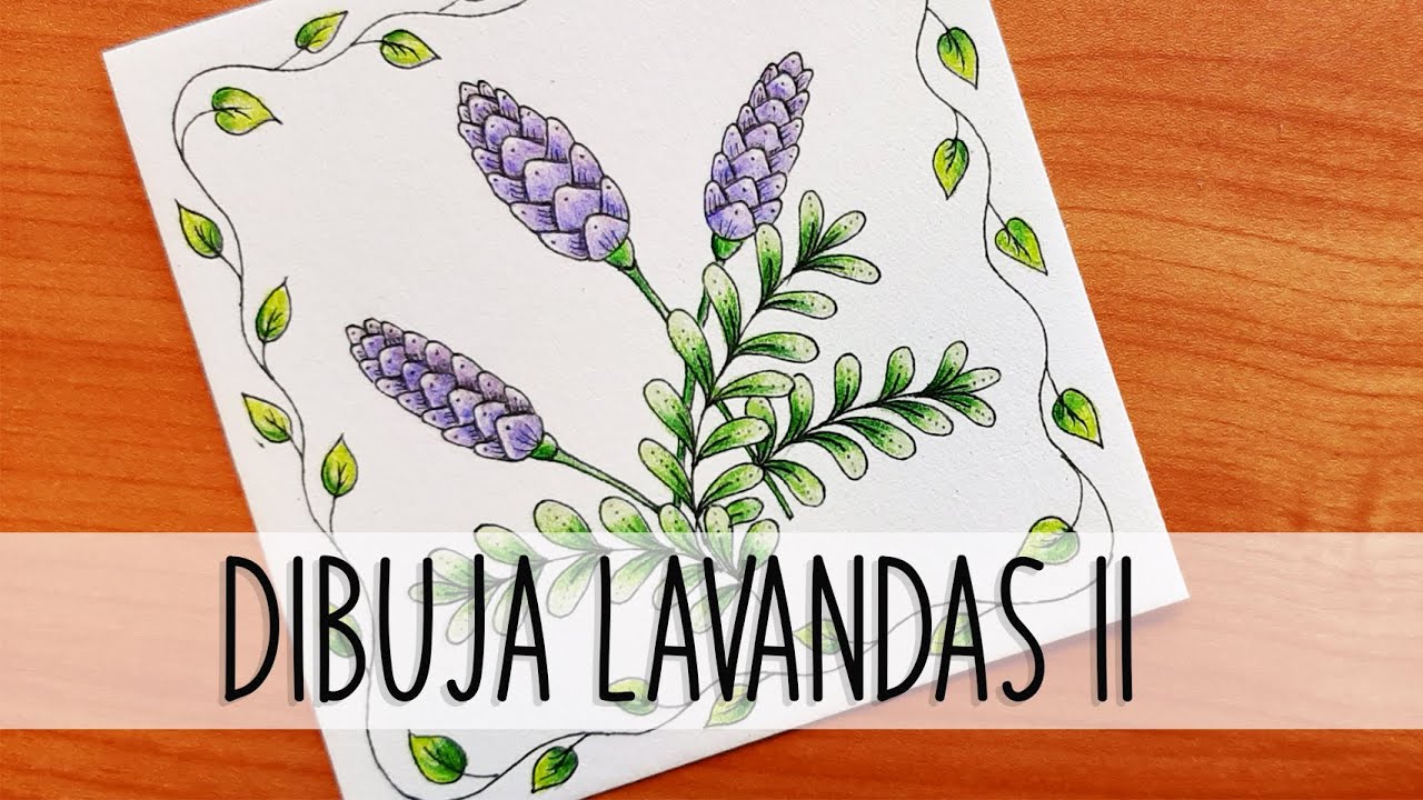 ?Cómo COLOREAR flores de LAVANDA paso a paso con lápices de colores ? -  YouTube