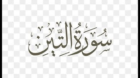 سورة التين - مقام البيات