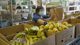 Coronavirus pandemic causing major food insecurity in Elk Grove