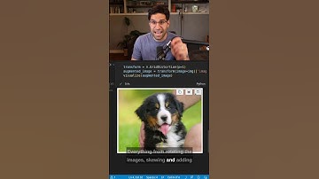 Image Augmentation is AMAZING!