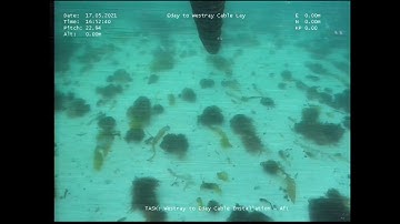 Touchdown Monitoring Video May 2021