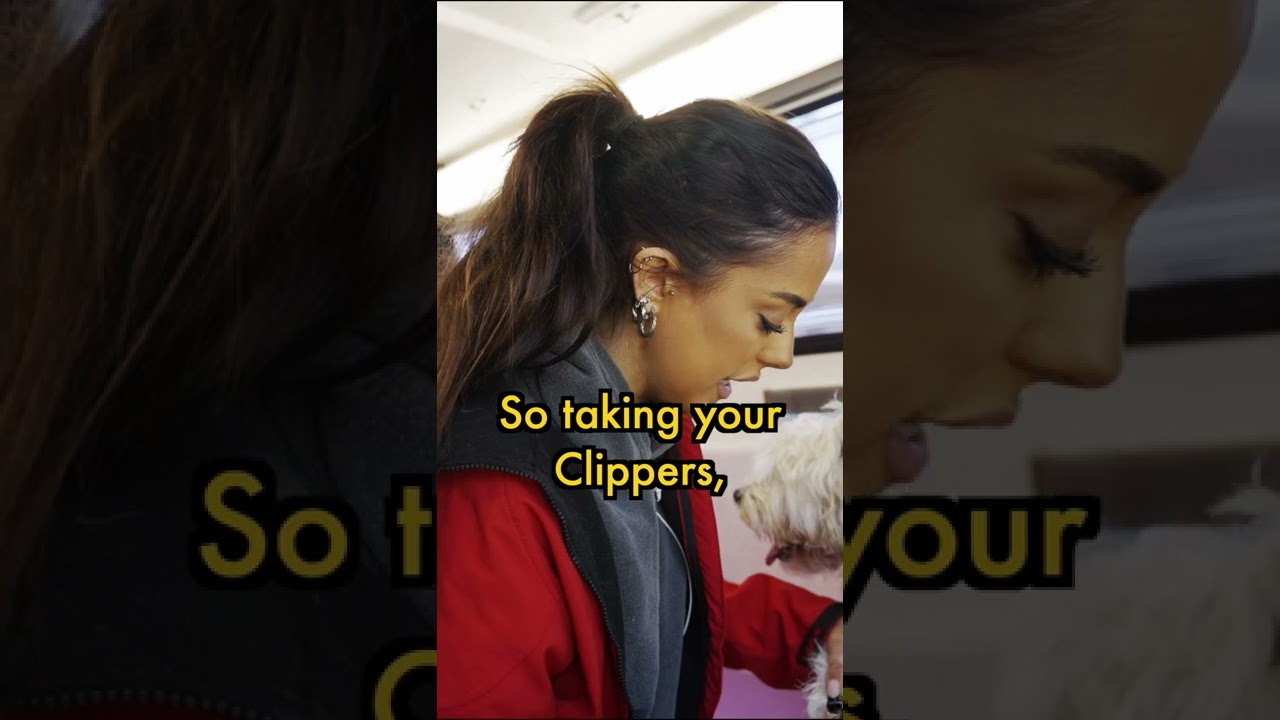 How to clip dog nails, with Jim's Dog Wash