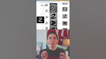 Advanced Image Recognition with Machine Learning