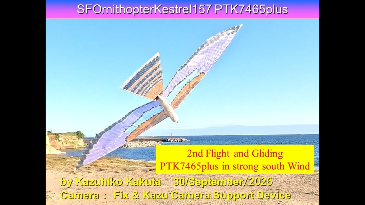 サーボ駆動チョウゲンボウ型羽ばたき機SFOKestrel157PTK7465plus 51g