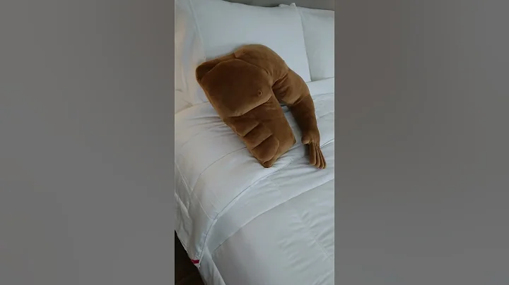 WHY am I only seeing these now? 😫 #bed #bedroom #lifehacks #amazon #shorts - DayDayNews