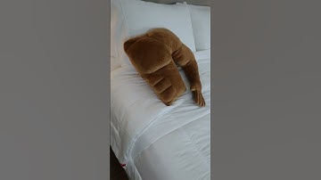 WHY am I only seeing these now? 😫 #bed #bedroom #lifehacks #amazon #shorts