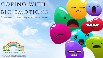 Coping with BIG Emotions - Anger & Anxiety Support - Brainstem Calmers - Emotional Literacy