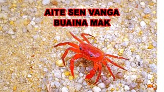 Aite sen man avanga buaina mak tak chu| Mizo tawnhriat