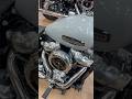 The best Harley for a Sport bike guy?