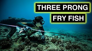 Fish and Poi with Kimi Werner - Three Prong Fry Fish - Menpachi, Kole, Aholehole Manini