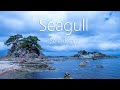 カモメの鳴き声と波の音：日本海 秋田県 弁天島 α7RⅣ