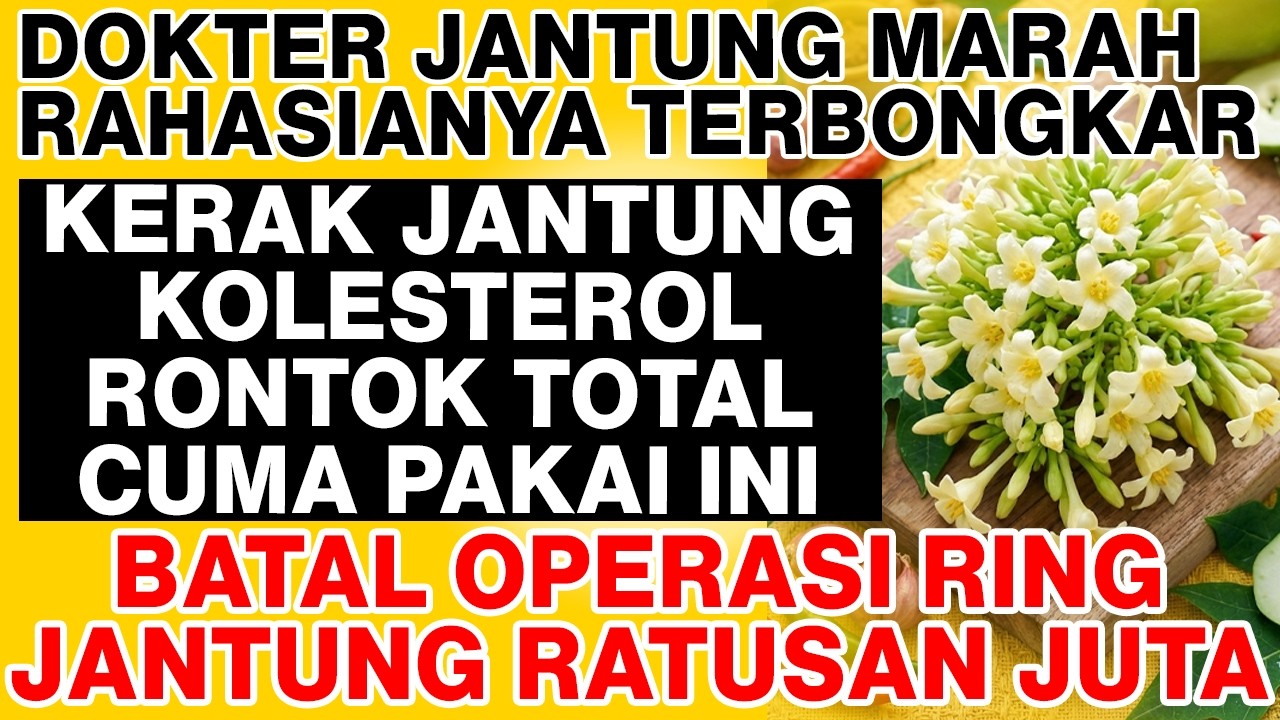 DOKTER JANTUNG MARAH RAHASIANYA DIBONGKAR! Kerak Kolesterol Rontok Total Cuma Makan Ini!