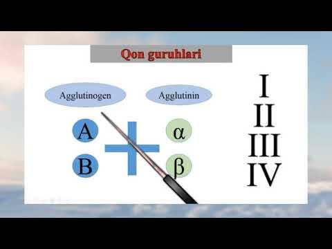Xotin eshakda sikiladi, er esa sevgilisining xorozini soradi. Prostata bezining fetish masturbatsiyasi