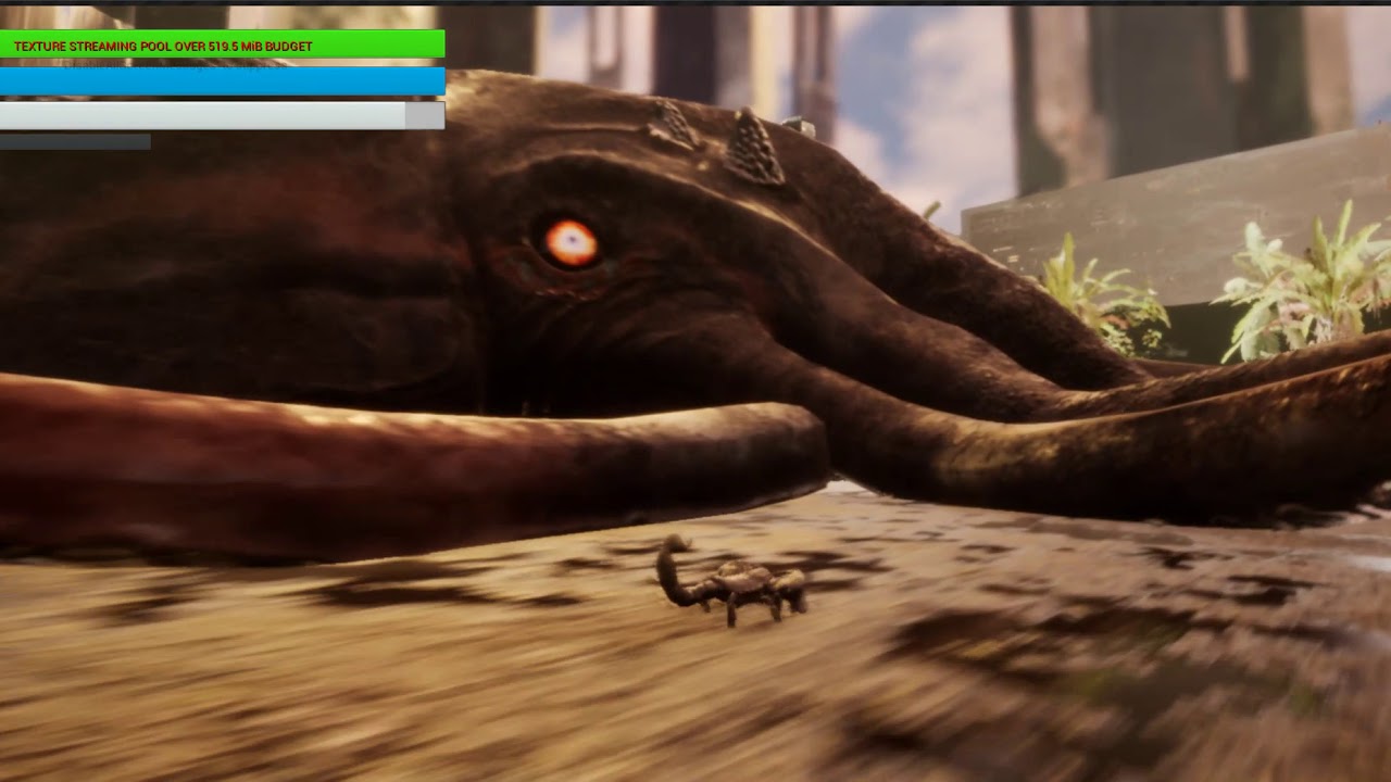 Squid YouTube squid-youtube