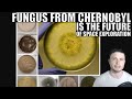 Chernobyl Fungus and Rust Are the Future of Space Exploration
