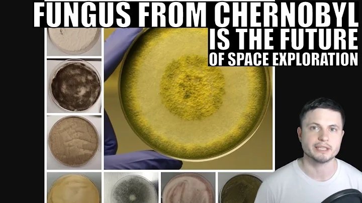 Chernobyl Fungus and Rust Are the Future of Space Exploration