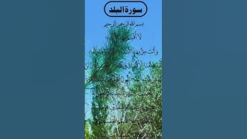 SURAH AL BALAD BEAUTIFUL VOICE سورة البلد #egzonibrahimi #surahalbalad #albalad #surahbalad