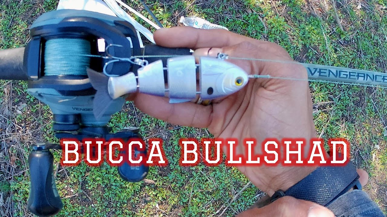 BULLSHAD swimbait landing me some bass for this THROWBACK