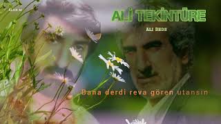 #AliTekintüre - Dönerim Diyerek (1986)