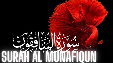 Surah Al Munafiqun سورة المُنَافِقُون مكتوبة