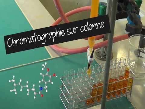 Vidéo: Quelle est la relation entre la chromatographie sur colonne et la CCM ?