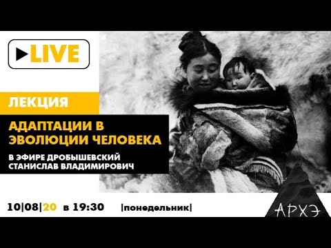 Онлайн-лекция Станислава Дробышевского "Адаптации в эволюции человека"