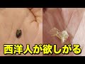 多くの東洋人が持つありがたい遺伝子! 私にもある?