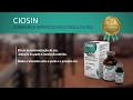 Ciosin - MSD Saúde Animal | LojaAgropecuaria.com.br