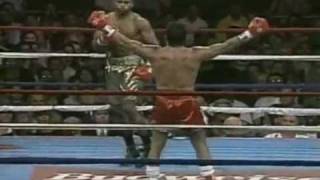 Roy Jones Jr in his prime