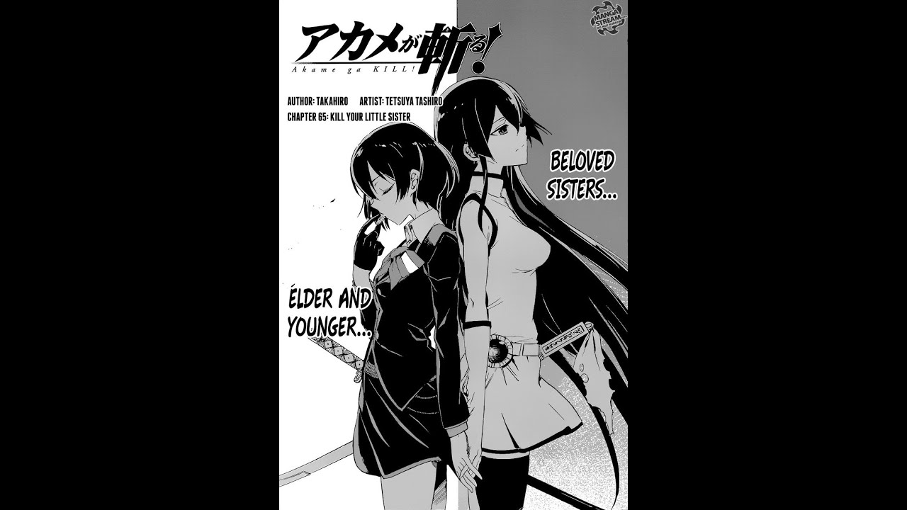 Akame Ga Kill Scan 65 Vf