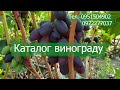 Каталог винограду на осінь 2023р.