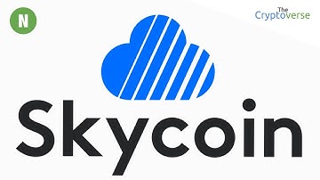 Chris Coney & Skycoin ☁️ Lead Developer Synth